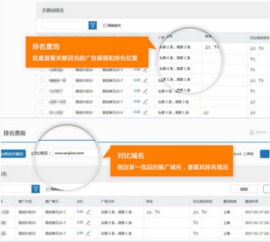紫博藍(lán)攜手神馬，推出全新排名查詢(xún)Web應(yīng)用，助力河北網(wǎng)站開(kāi)發(fā)數(shù)字化轉(zhuǎn)型